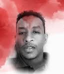 دفع الله الضو