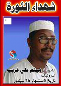 هيثم علي غريب